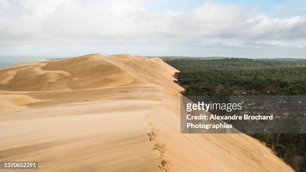 dune du pilat - southwestern france stock pictures, royalty-free photos & images