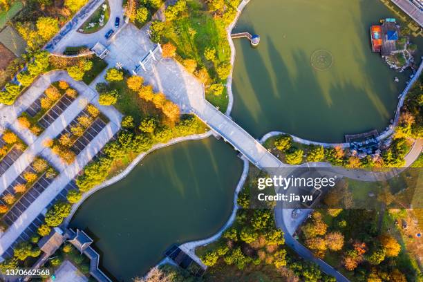 overlooking the small bridge in the park - garden bridge fotografías e imágenes de stock