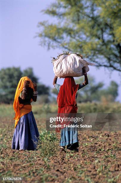 Rural areas in Ajmer district in Rajasthan on March 12, 2008 in India.