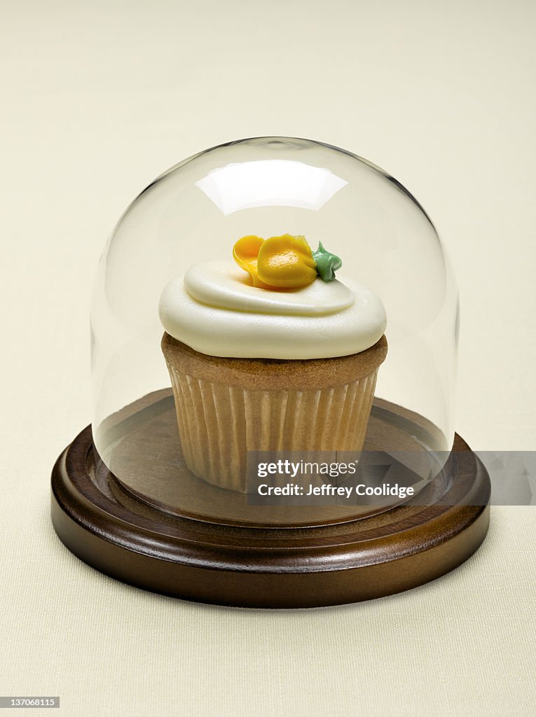 Cupcake Under Glass