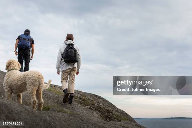 people walking at sea - canine stock pictures, royalty-free photos & images