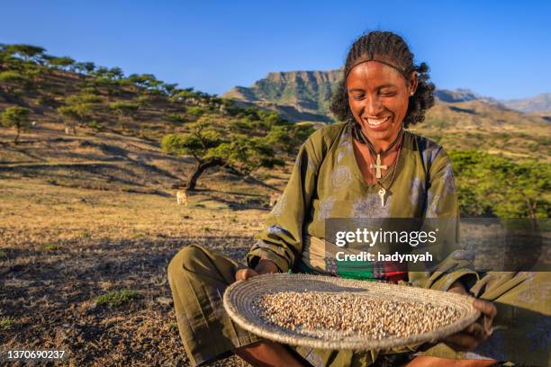 young african woman is sifting the sorghum, east africa - sorgo stockfoto's en -beelden