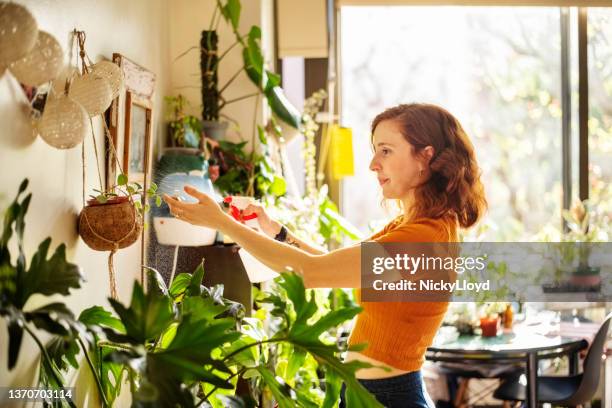 jovem mulher cuidando de suas plantas - green fingers - fotografias e filmes do acervo