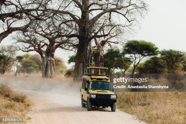 safari jeep car driving between the trees in tarangire national park, tanzania - tarangire national park stockfoto's en -beelden