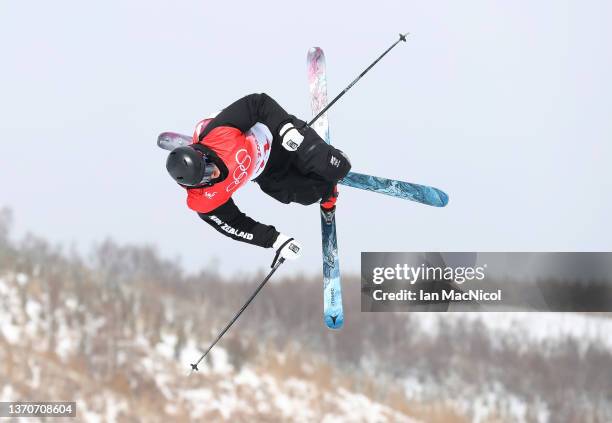 Freestyle Skin 54 Ben Barclay (Freestyle Skier) Stock Photos, High-Res Pictures, and ...