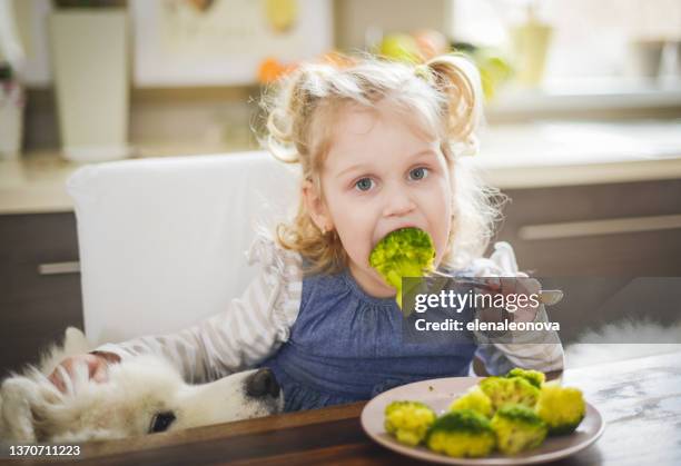 baby girl blonde in home interior , eat broccoli - dog eating a girl out stock pictures, royalty-free photos & images