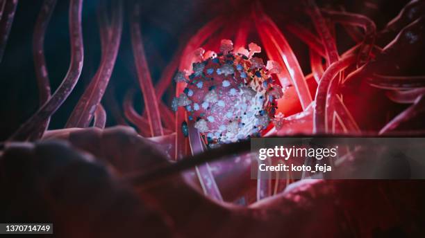 virusinfektion covid-19 - delta variante covid 19 stock-fotos und bilder