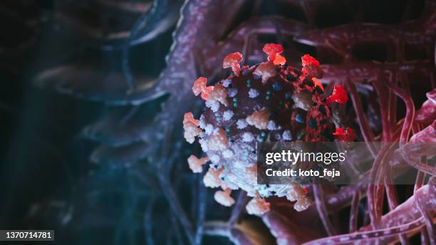 virusinfektion covid-19 - delta variante covid 19 stock-fotos und bilder
