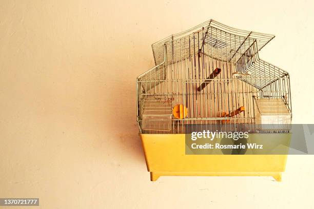 empty bird cage on white wall - kooi stockfoto's en -beelden