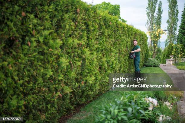 professional gardener trimming hedge with power saw. - professional landscapers stock pictures, royalty-free photos & images