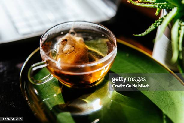 tea bag in a glass cup on a green plate in front of a laptop. - tè nero foto e immagini stock