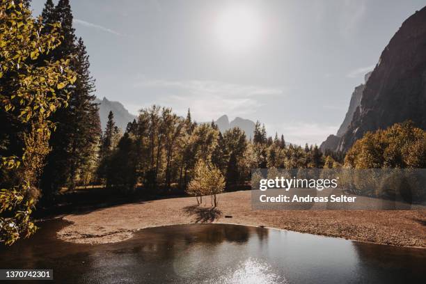 yosemite valley in yosemite nationalpark with merced river - yosemite nationalpark stockfoto's en -beelden