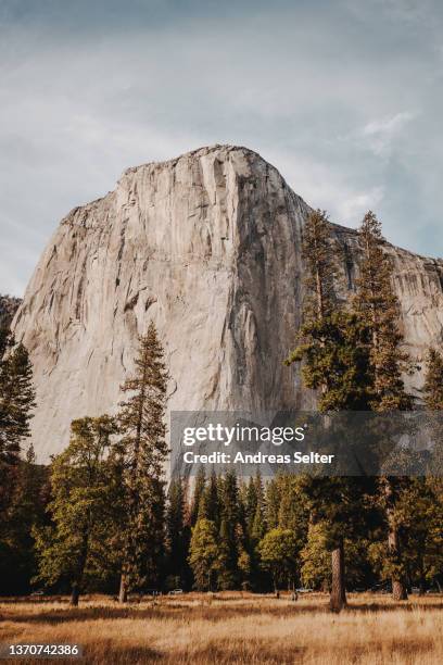 el capitan at yosemite valley at yosemite nationalpark - el capitan yosemite national park stock pictures, royalty-free photos & images