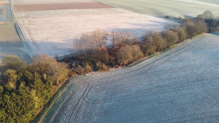 Windbreaks 203 Windbreak And Trees Stock Videos, Footage, & 4K Video Clips - Getty ...