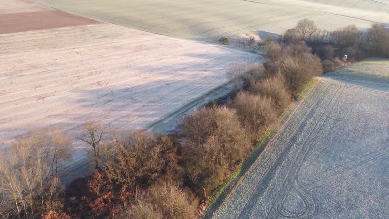 Windbreaks 203 Windbreak And Trees Stock Videos, Footage, & 4K Video Clips - Getty ...