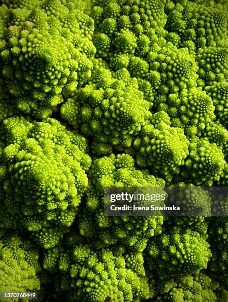 broccolo background - chou romanesco stock pictures, royalty-free photos & images