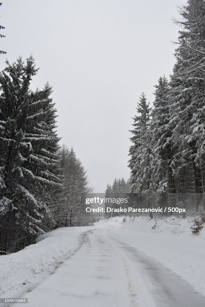 Trees on snow covered field against sky,Ivanjica,Serbia