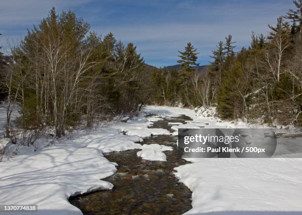 swift river,trees on snow covered field against sky,albany,new hampshire,united states,usa - deer river new hampshire stock pictures, royalty-free photos & images