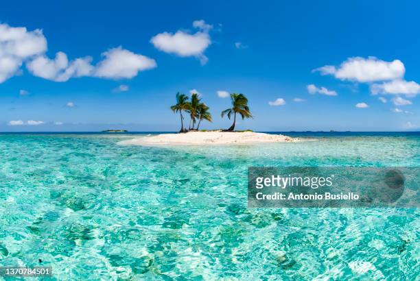 small caribbean island in cayos cochinos - insel stock-fotos und bilder