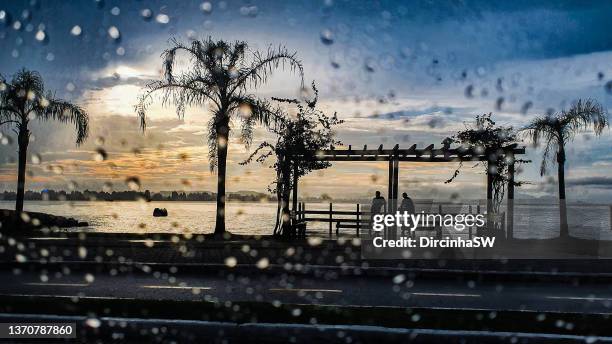 silhouette and raindrops on the glass and sea view. - coconut beach stock-fotos und bilder