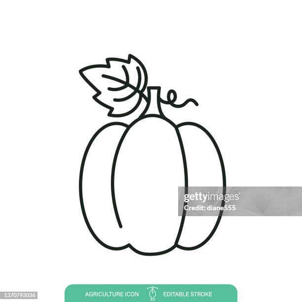 simple pumpkin agriculture line icon on a transparent background - pumpkin stock illustrations