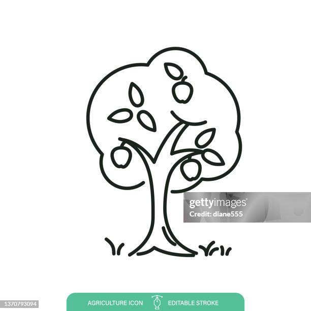 orchard apple tree agriculture line icon on a transparent background - apple tree stock illustrations