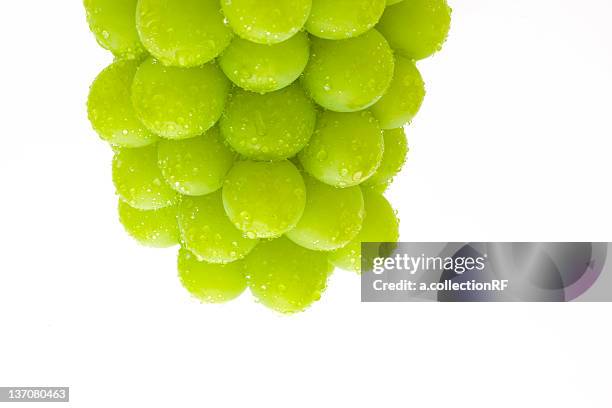 muscat grapes - grande mascate imagens e fotografias de stock