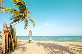 Surfboard and palm tree on beach in summer