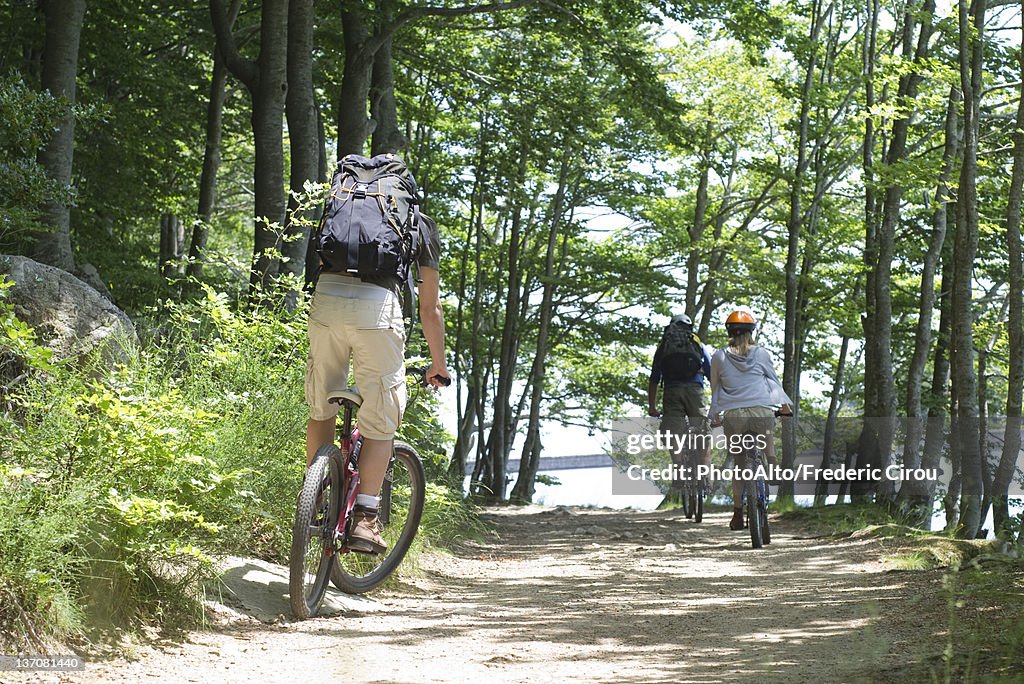 Cyclists riding through woods, rear view