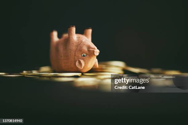 süßes rosa schwein kopfüber auf einem haufen goldmünzen. teig oder geld einrollen - defeat stock-fotos und bilder
