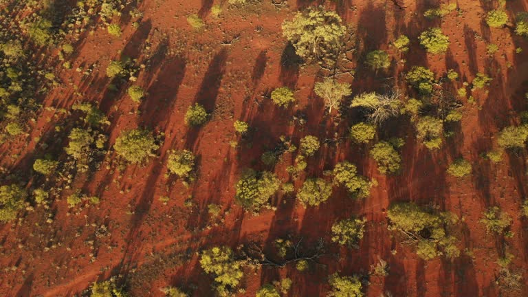 Aussie Outback Texture 309 Outback Texture Stock Videos, Footage, & 4K Video Clips - Getty Images
