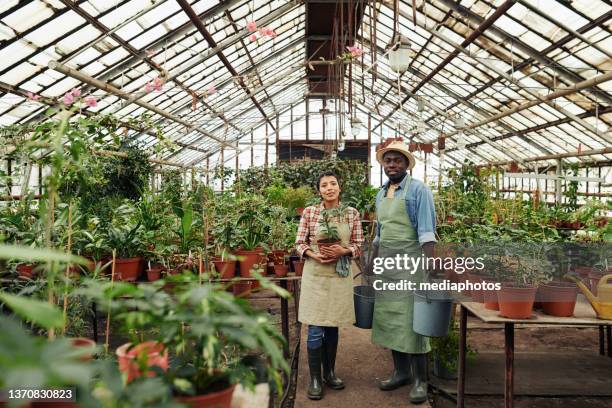 カメラを見て温室を保持する植物とバケツで一緒に働く若い黒人男性とヒスパニックの女性の水平ロングショット - daily bucket ストックフォトと画像