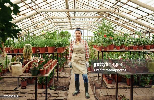 horizontal long shot of young adult hispanic woman wearing apron and rubber boots standing in greenhouse looking at camera - russia rain boots imagens e fotografias de stock