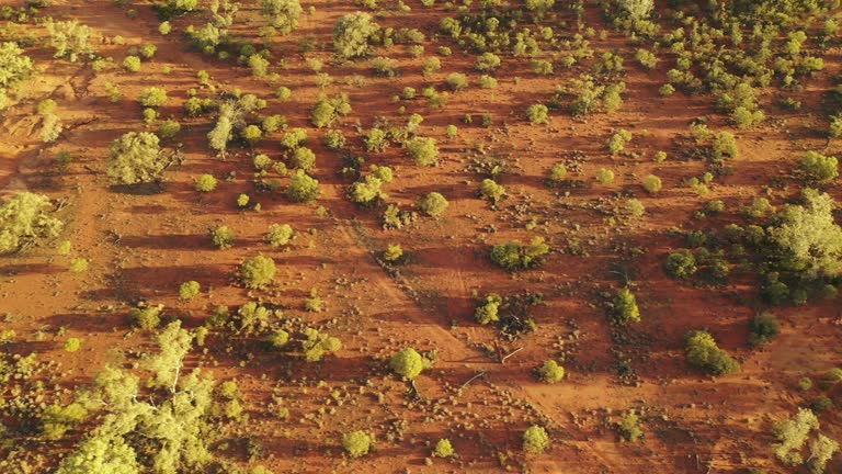 Aussie Outback Texture 157 Outback Dirt Texture Stock Videos, Footage, & 4K Video Clips ...