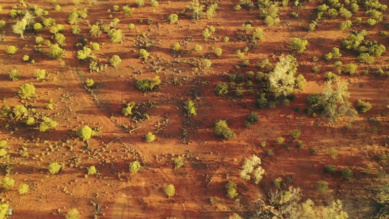 Aussie Outback Texture Outback Dirt Texture Videos and HD Footage - Getty Images