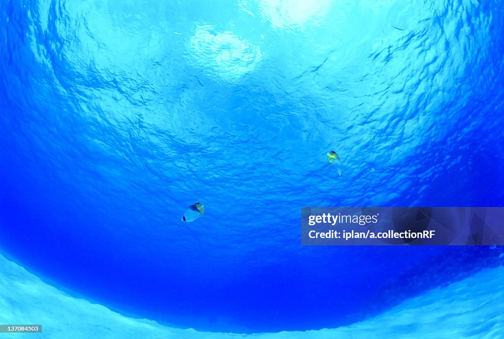 Undersea, Saipan