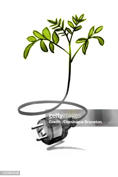 tree sapling connected with electric cable and plug - sprout stock illustrations