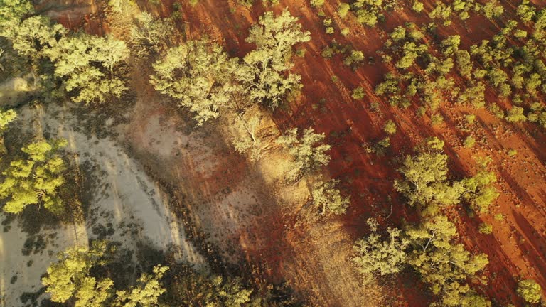 Aussie Outback Texture 145 Outback Dirt Texture Stock Videos, Footage, & 4K Video Clips ...