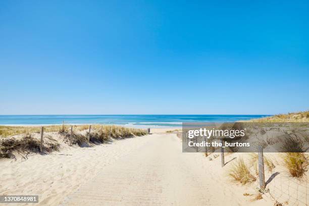 footpath to the beach and sea in summer - beach trail stock pictures, royalty-free photos & images