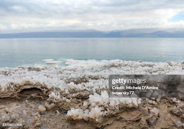 salt crusts on the shores of the dead sea - solution saline photos et images de collection