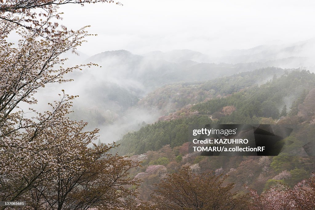 Mist Over Mountain Ranges in Spring