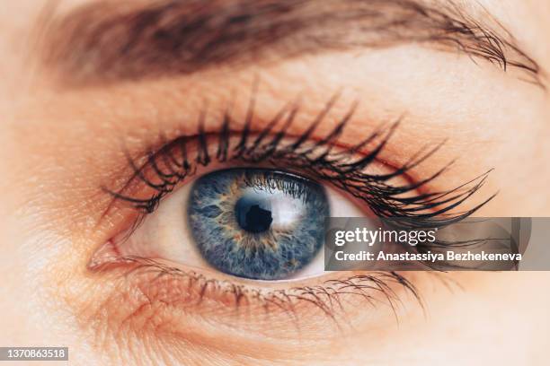 healthy blue female eye close up - largo florida fotografías e imágenes de stock