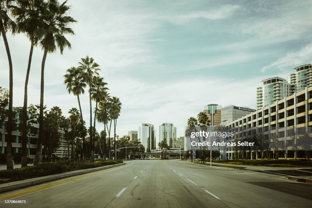 Symmetrical view of a lone street with palm trees in Los Angeles