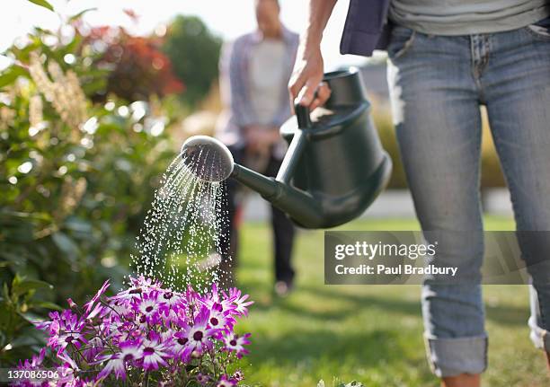 mujer con flores en el riego de jardín con regadera - gardening fotografías e imágenes de stock