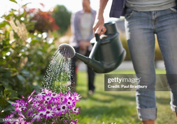 mujer con flores en el riego de jardín con regadera - plants fotografías e imágenes de stock