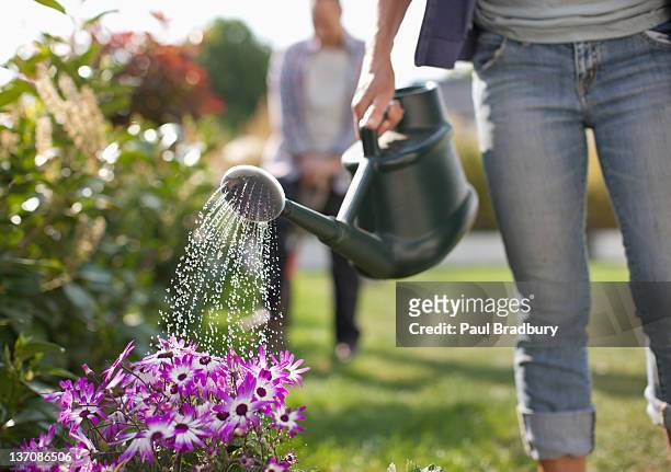 donna che innaffia i fiori in giardino con annaffiatoio - flora foto e immagini stock