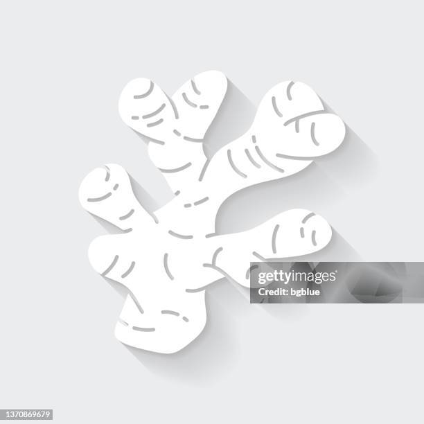 ginger. icon with long shadow on blank background - flat design - ginger dressing stock illustrations