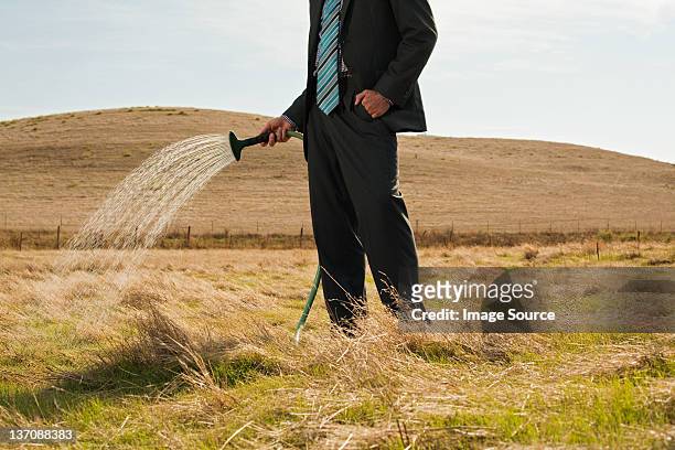 man sprinkling water on dry grass - scarce stock pictures, royalty-free photos & images