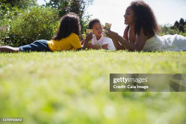 happy mother and children drinking juice boxes in sunny summer grass - juice box stock pictures, royalty-free photos & images