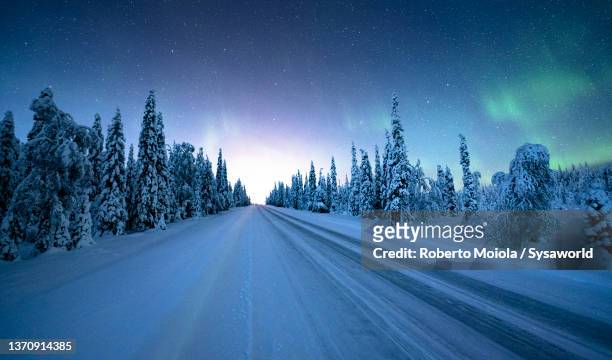 icy road in the frozen forest under northern lights - laponie finlandaise photos et images de collection